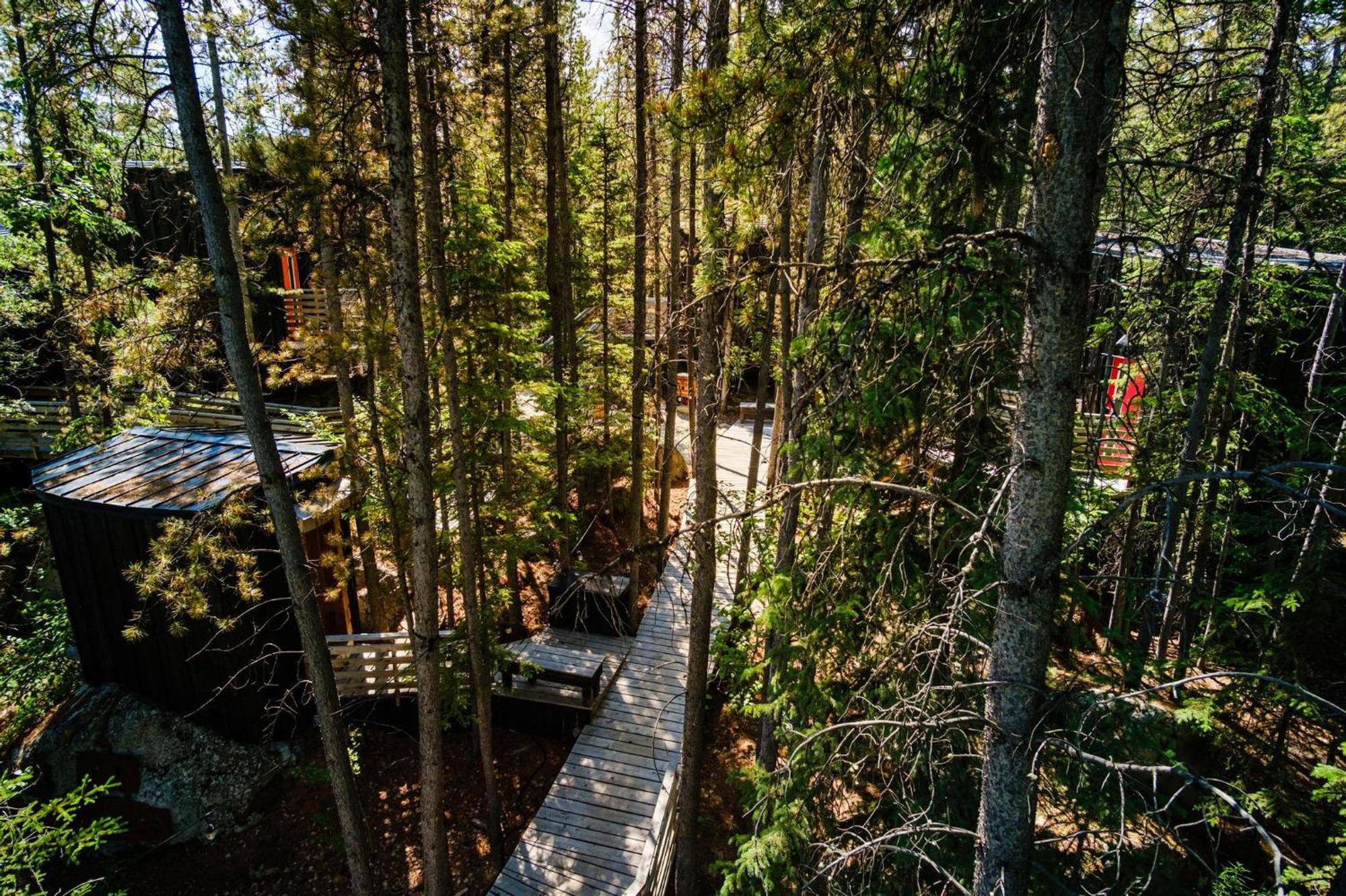 Black Spruce - Orange Door Villa Whitehorse Exterior photo