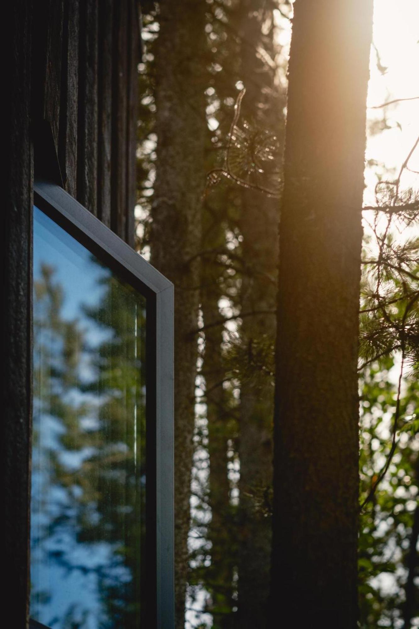 Black Spruce - Orange Door Villa Whitehorse Exterior photo