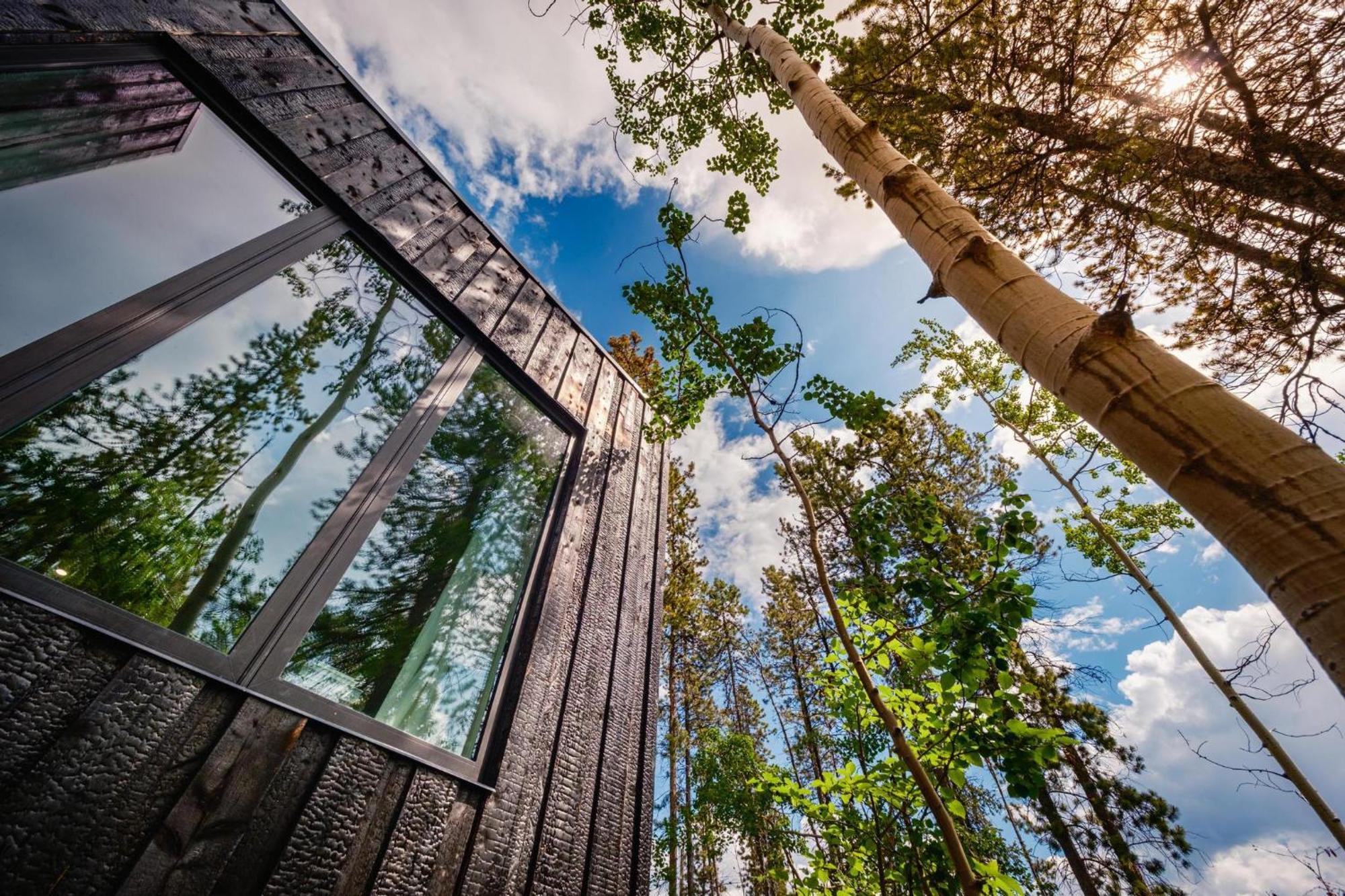 Black Spruce - Orange Door Villa Whitehorse Exterior photo