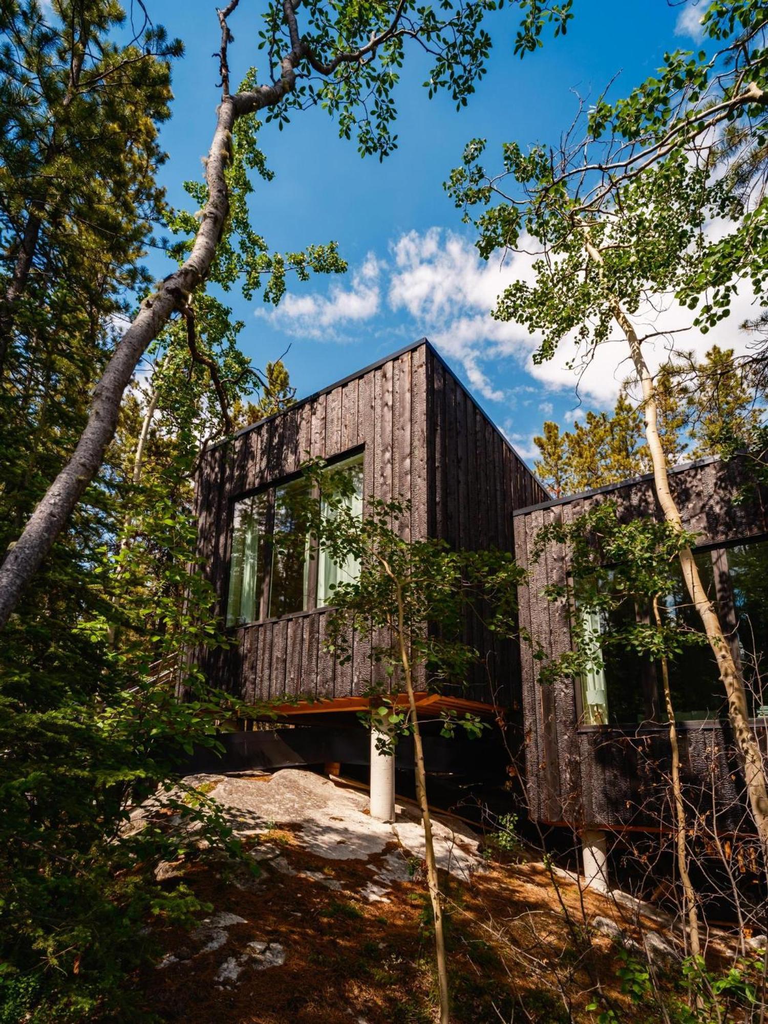 Black Spruce - Orange Door Villa Whitehorse Exterior photo